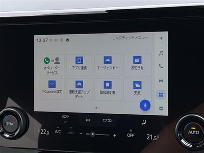 TOYOTA ALPHARD - 3