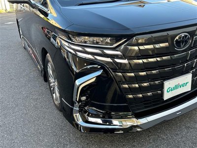 2025 Toyota ALPHARD 缩略图 21