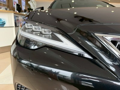 2022 Lexus LS 缩略图 12