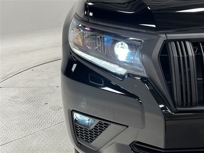TOYOTA LAND CRUISER PRADO - 10