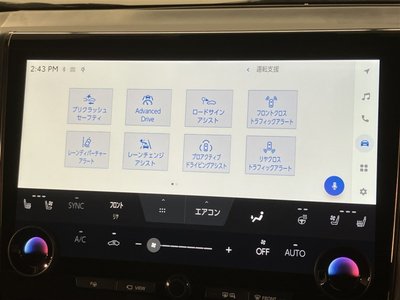 2024 TOYOTA ALPHARD 缩略图 15