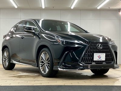 2023 Lexus NX — миниатюра 64