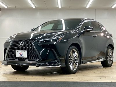 2023 Lexus NX — миниатюра 63