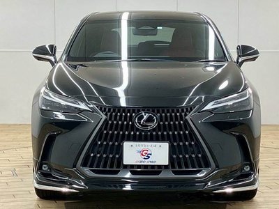 2023 Lexus NX — миниатюра 15