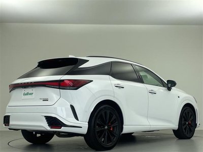 2023 Lexus RX 缩略图 20