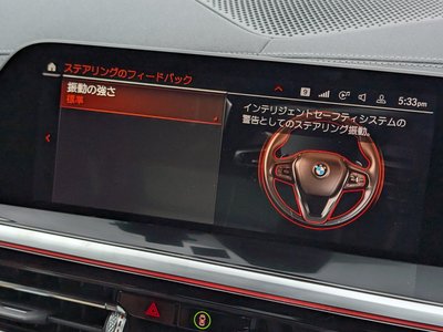 2023 BMW Z4 缩略图 36