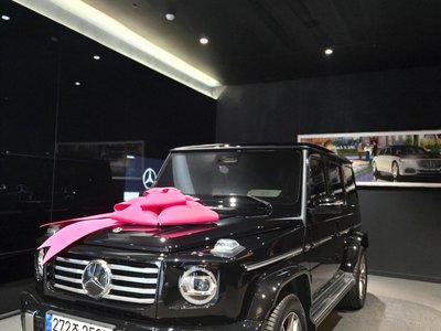 MERCEDES-BENZ G-CLASS - 2