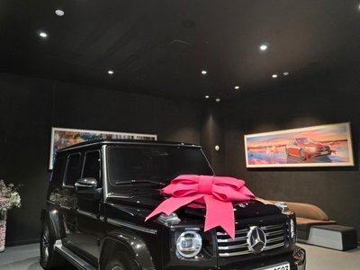 MERCEDES-BENZ G-CLASS - 6