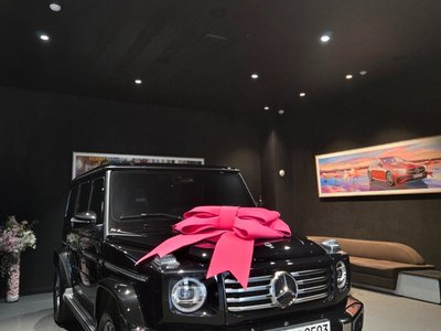 MERCEDES-BENZ G-CLASS - 7