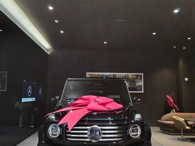 MERCEDES-BENZ G-CLASS - 3