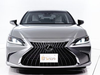 2024 Lexus ES 缩略图 12