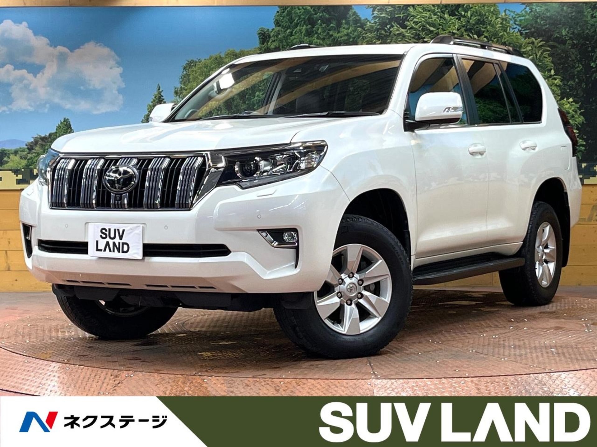 TOYOTA LAND CRUISER PRADO - View 1