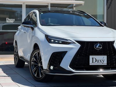 2026 Lexus NX — миниатюра 21