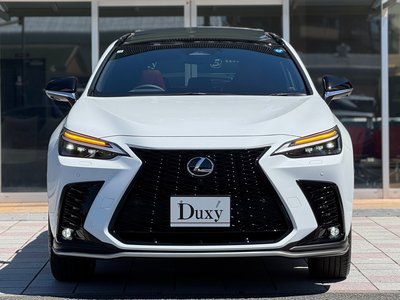 2026 Lexus NX — миниатюра 15