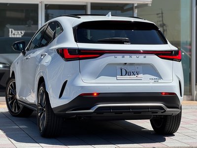 2026 Lexus NX photo 8