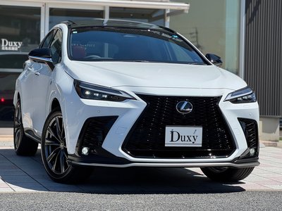 2026 Lexus NX photo 6