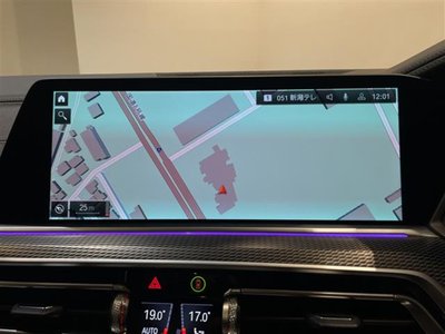 2021 BMW X6 — миниатюра 14