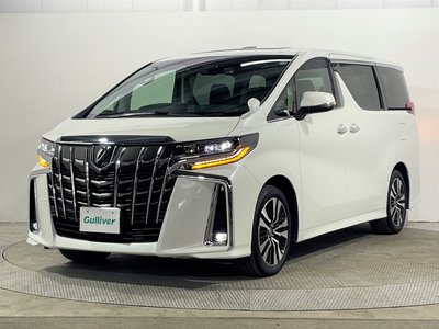 2023 Toyota ALPHARD 缩略图 19