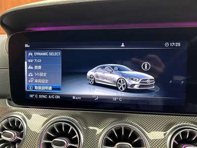 صورة مصغرة 15 لـ 2018 Mercedes-BENZ CLS AMG