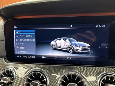 صورة مصغرة 16 لـ 2018 Mercedes-BENZ CLS AMG