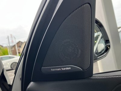 2025 BMW X7 thumbnail 20
