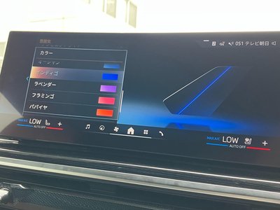 2025 BMW X7 thumbnail 41