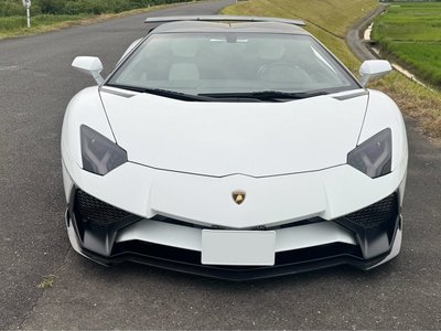 LAMBORGHINI AVENTADOR ROADSTER - 3