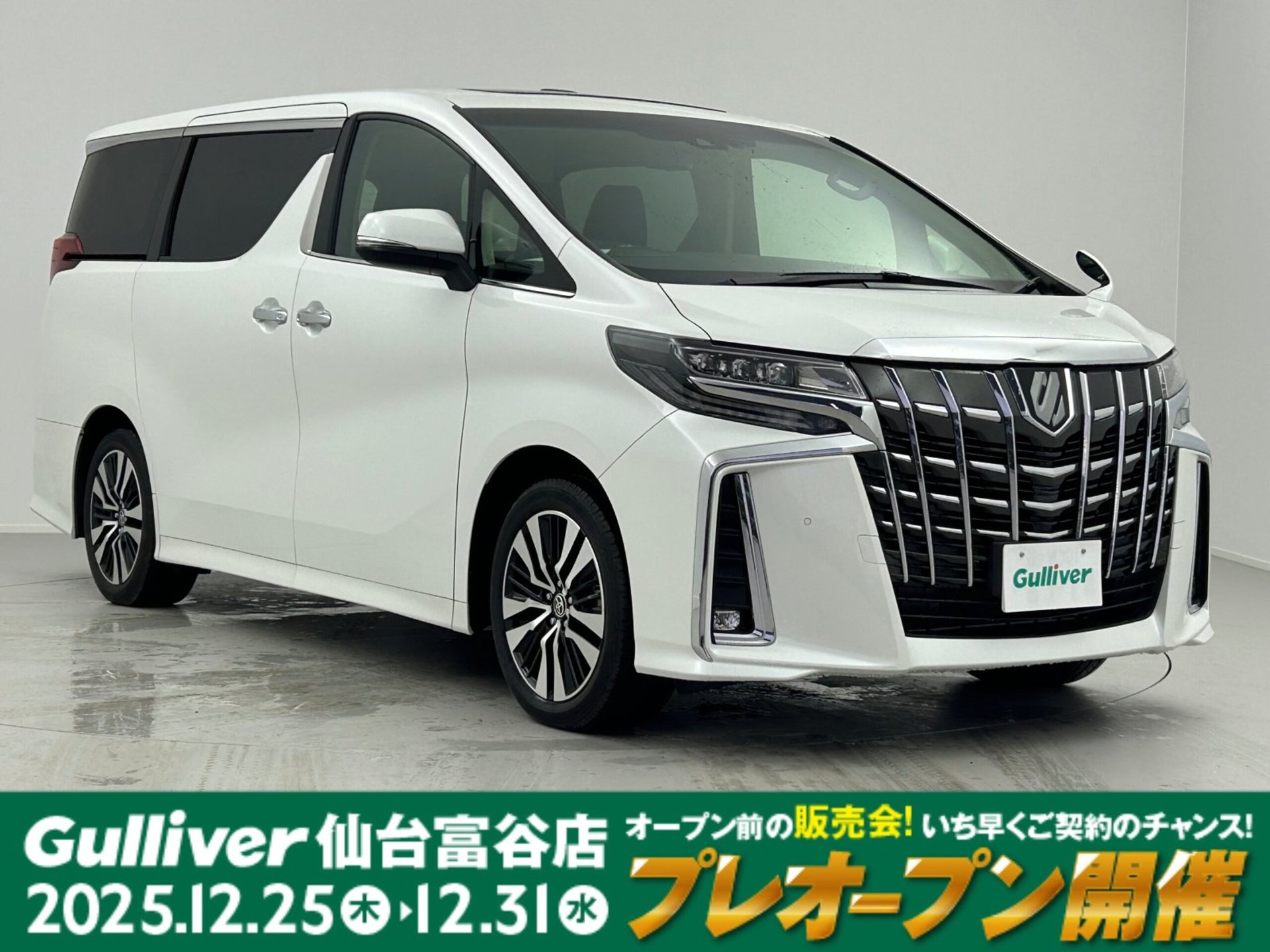 TOYOTA ALPHARD - View 1
