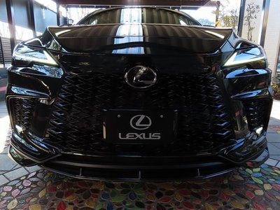 LEXUS RX - 6