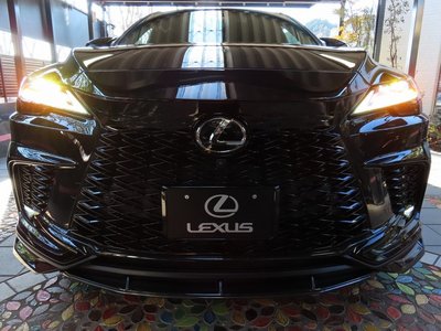 LEXUS RX - 10