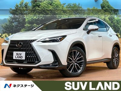 LEXUS NX - 1