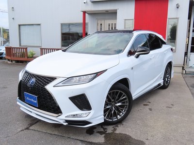 2021 Lexus RX — миниатюра 28