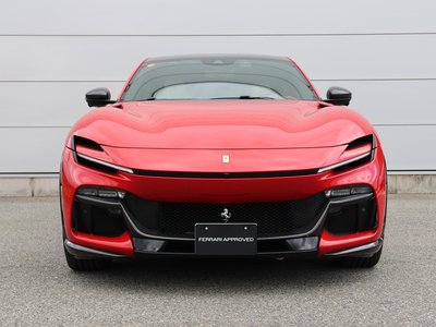 2025 FERRARI PUROSANGUE 照片 9