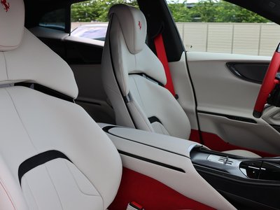2025 FERRARI PUROSANGUE 照片 5