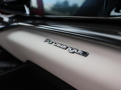 2025 Ferrari PUROSANGUE — миниатюра 24