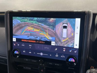 2024 TOYOTA ALPHARD 照片 6