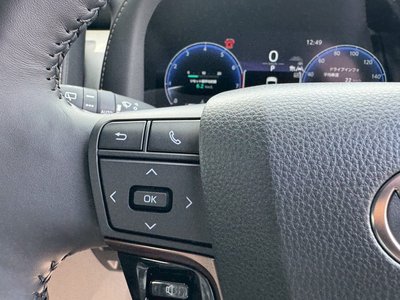 2026 TOYOTA ALPHARD 缩略图 25