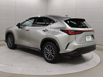 2024 Lexus NX — фото 2