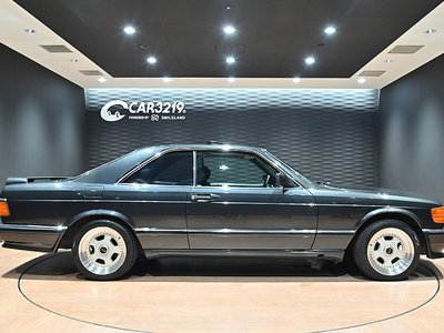1990 Mercedes-BENZ S-CLASS 照片 10