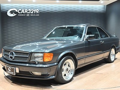 1990 Mercedes-BENZ S-CLASS 照片 1