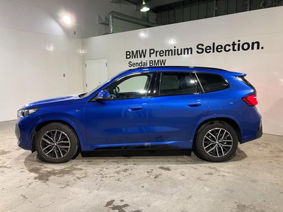 BMW X1 - 6