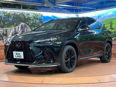 صورة مصغرة 60 لـ 2025 Lexus NX