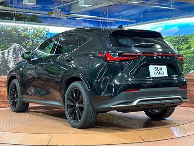 صورة مصغرة 62 لـ 2025 Lexus NX