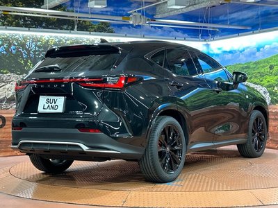 صورة مصغرة 17 لـ 2025 Lexus NX