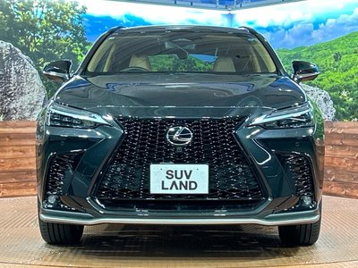 صورة مصغرة 14 لـ 2025 Lexus NX