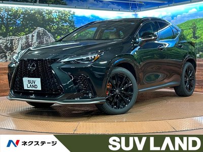 LEXUS NX - 1