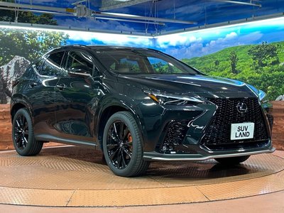 صورة مصغرة 16 لـ 2025 Lexus NX