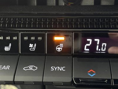 TOYOTA LAND CRUISER 250 - 8