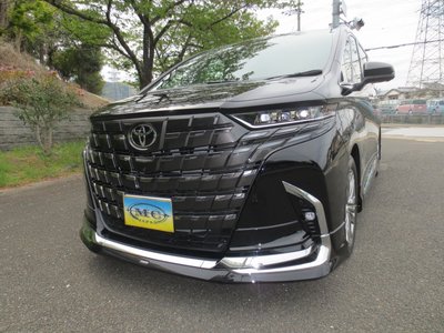 TOYOTA ALPHARD - 1
