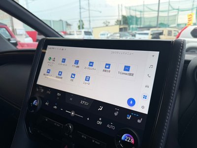 صورة مصغرة 33 لـ 2025 TOYOTA ALPHARD